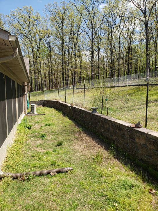 Second chicken yard expansion - above the wall, the entire back yard. (2)